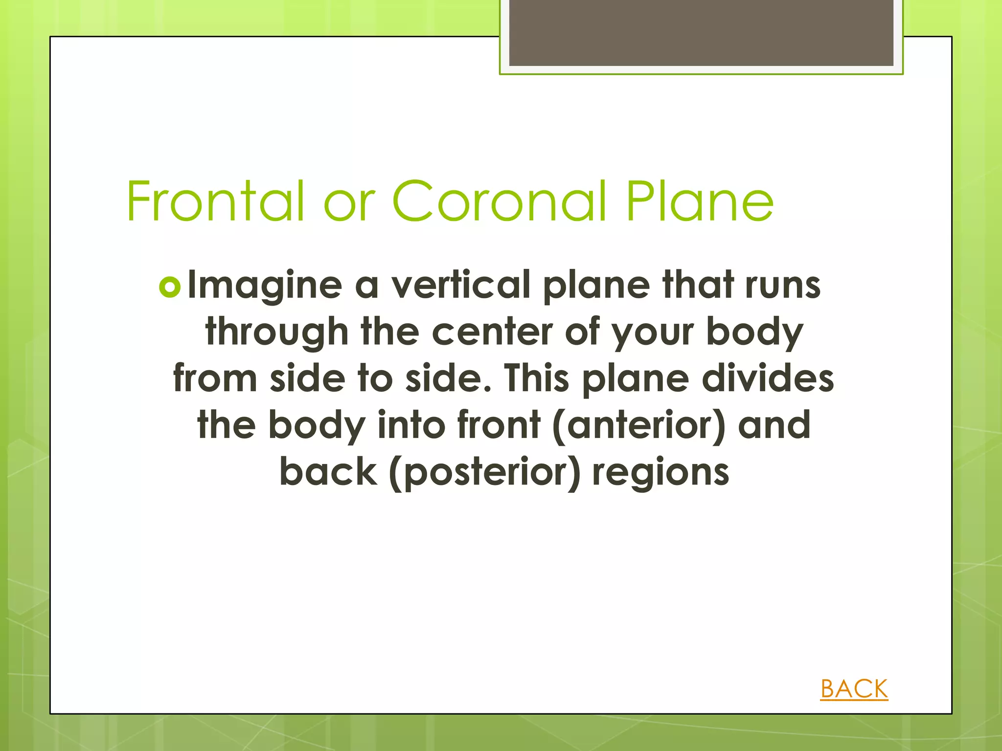 Frontal or Coronal Plane
  Imagine a vertical plane that runs
    through the center of your body
 from side to side. This plane divides
   the body into front (anterior) and
        back (posterior) regions




                                     BACK
 