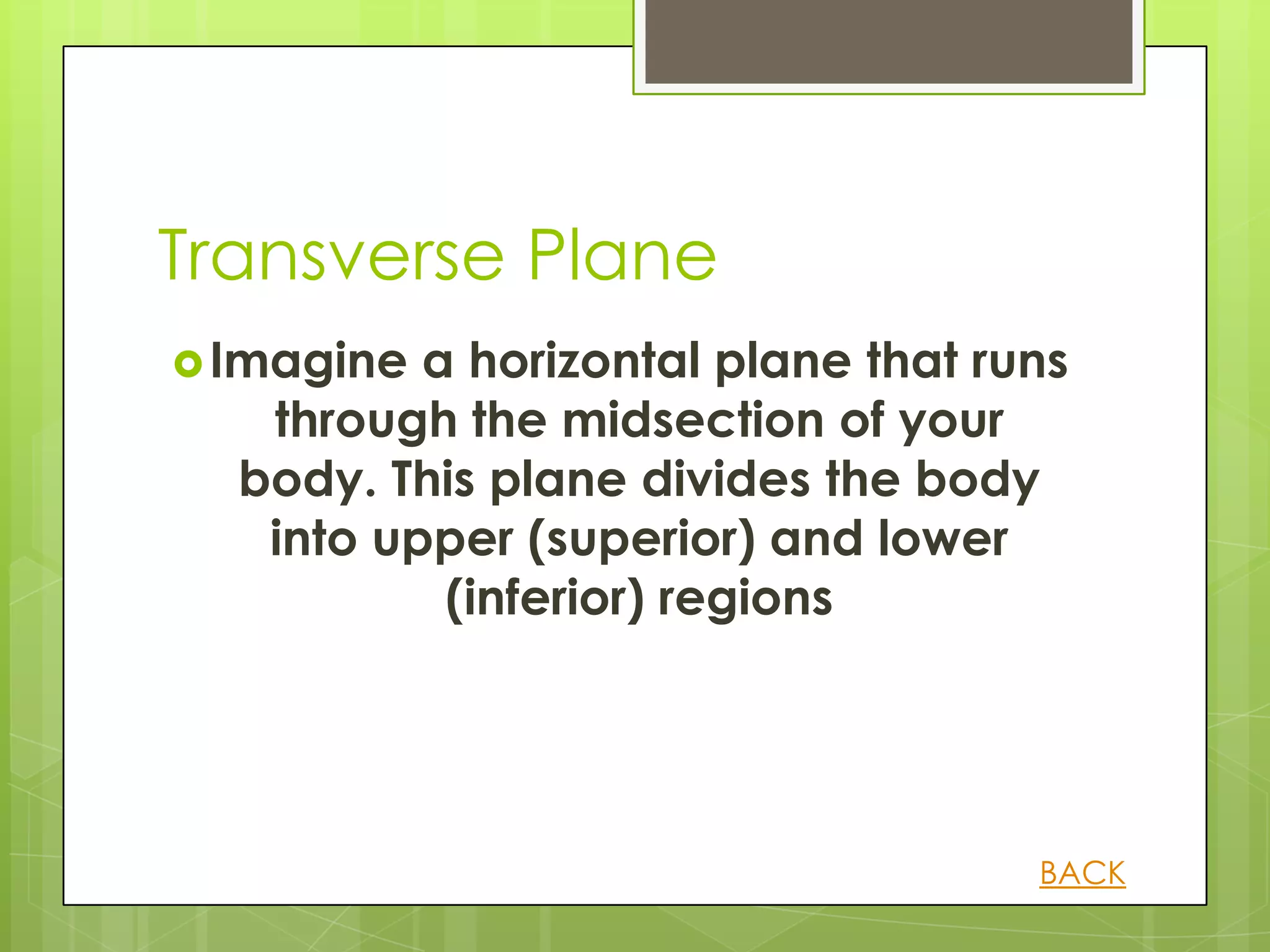 Transverse Plane
 Imagine a horizontal plane that runs
   through the midsection of your
  body. This plane divides the body
   into upper (superior) and lower
           (inferior) regions




                                    BACK
 