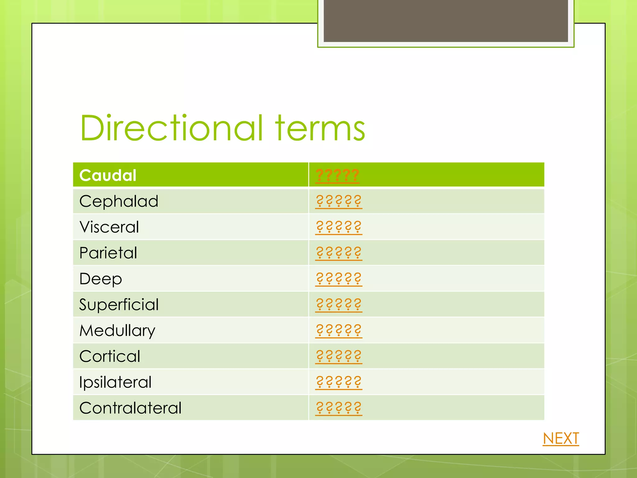 Directional terms
Caudal          ?????
Cephalad        ?????
Visceral        ?????
Parietal        ?????
Deep            ?????
Superficial     ?????
Medullary       ?????
Cortical        ?????
Ipsilateral     ?????
Contralateral   ?????
                        NEXT
 