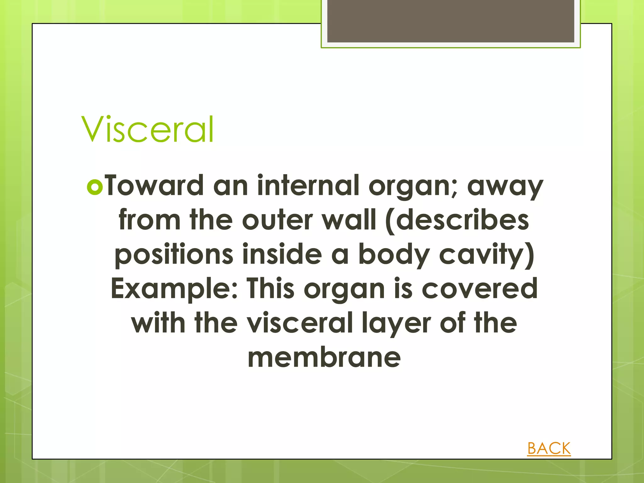 Visceral
Toward   an internal organ; away
  from the outer wall (describes
 positions inside a body cavity)
 Example: This organ is covered
   with the visceral layer of the
            membrane


                               BACK
 