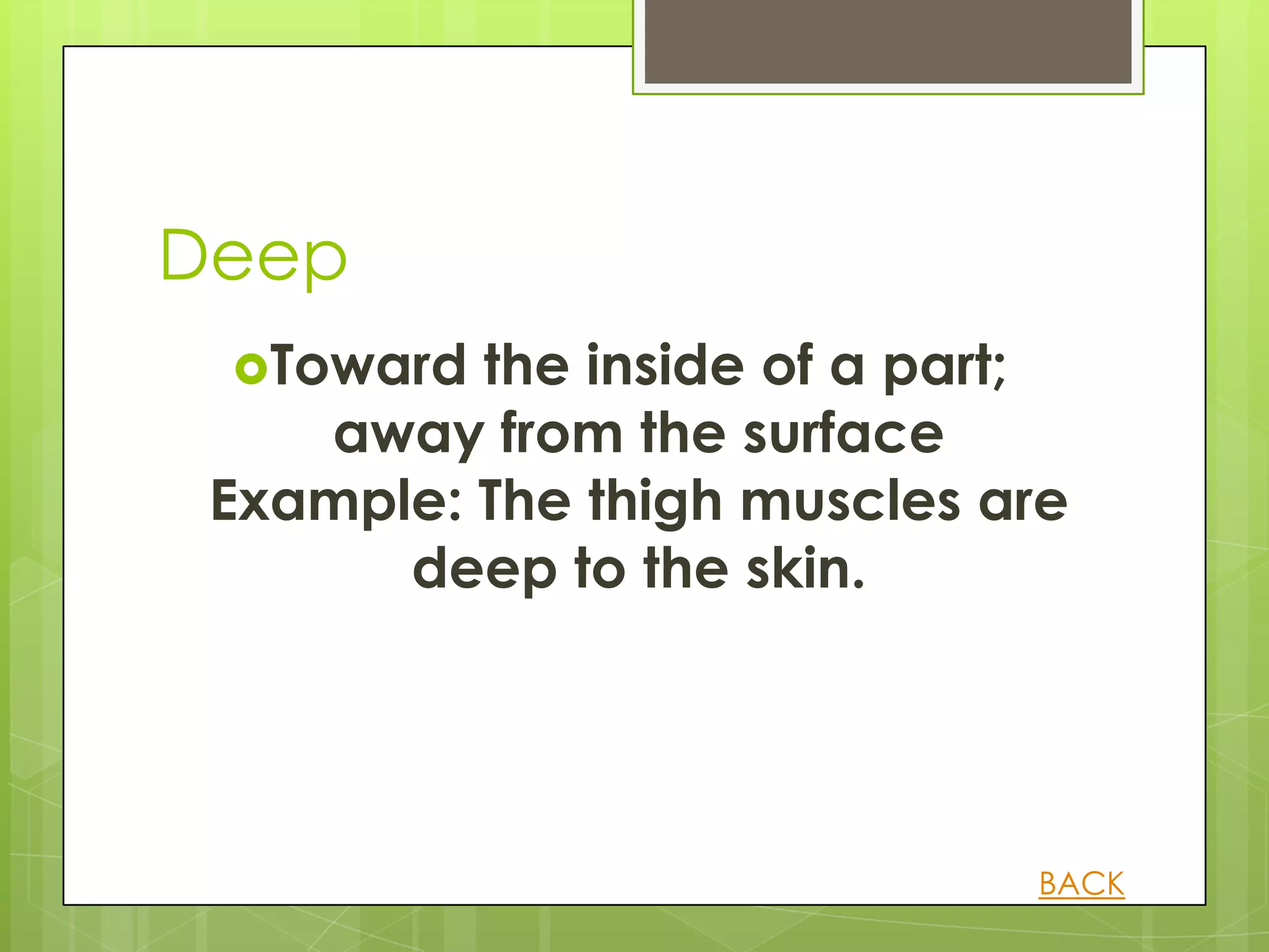 Deep
 Toward  the inside of a part;
    away from the surface
 Example: The thigh muscles are
       deep to the skin.




                             BACK
 