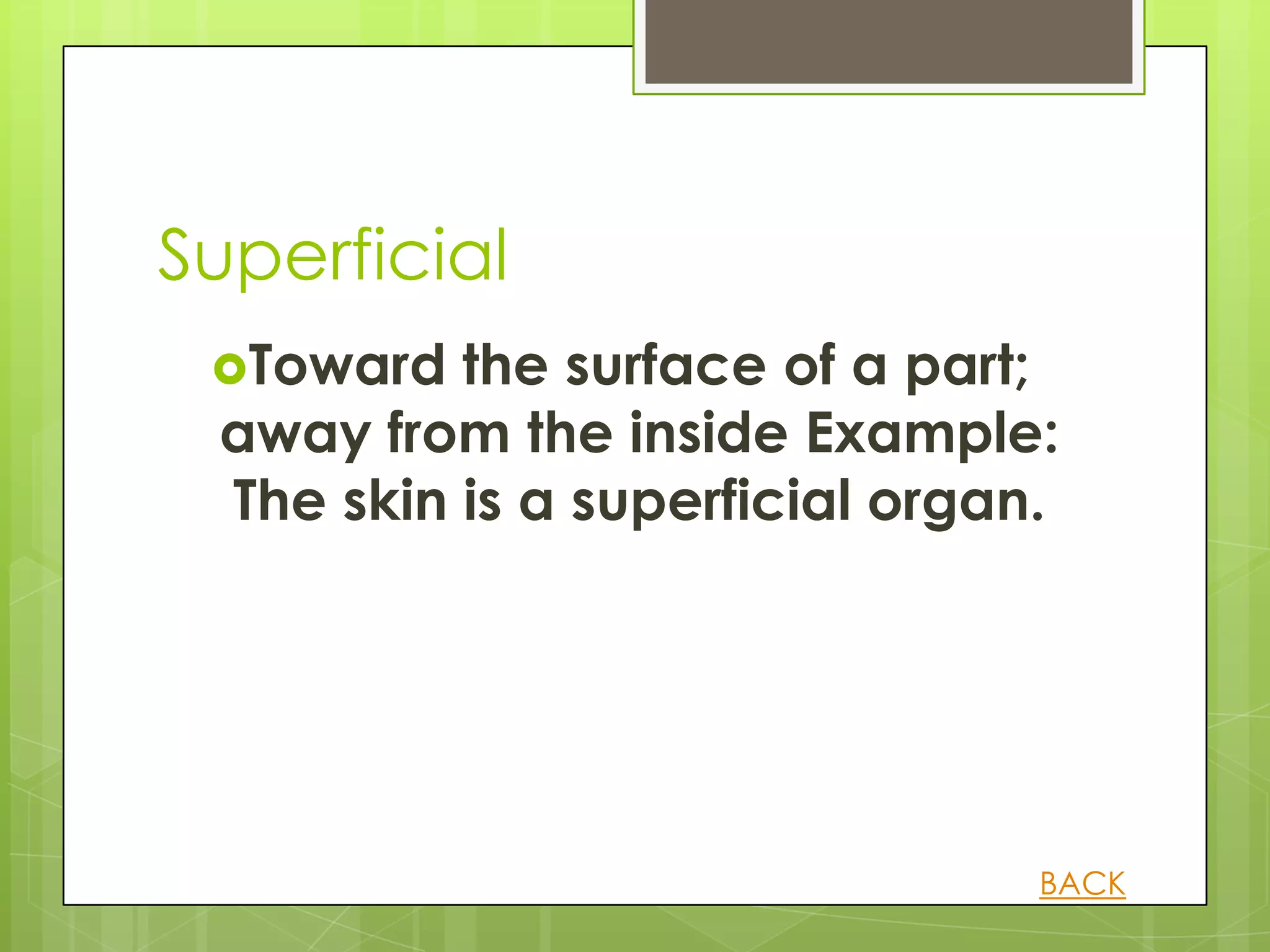 Superficial
 Toward  the surface of a part;
 away from the inside Example:
 The skin is a superficial organ.




                                BACK
 