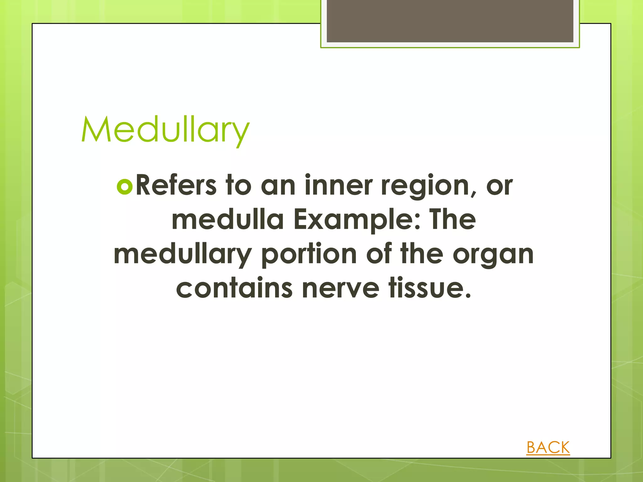 Medullary
 Refersto an inner region, or
    medulla Example: The
 medullary portion of the organ
    contains nerve tissue.




                              BACK
 