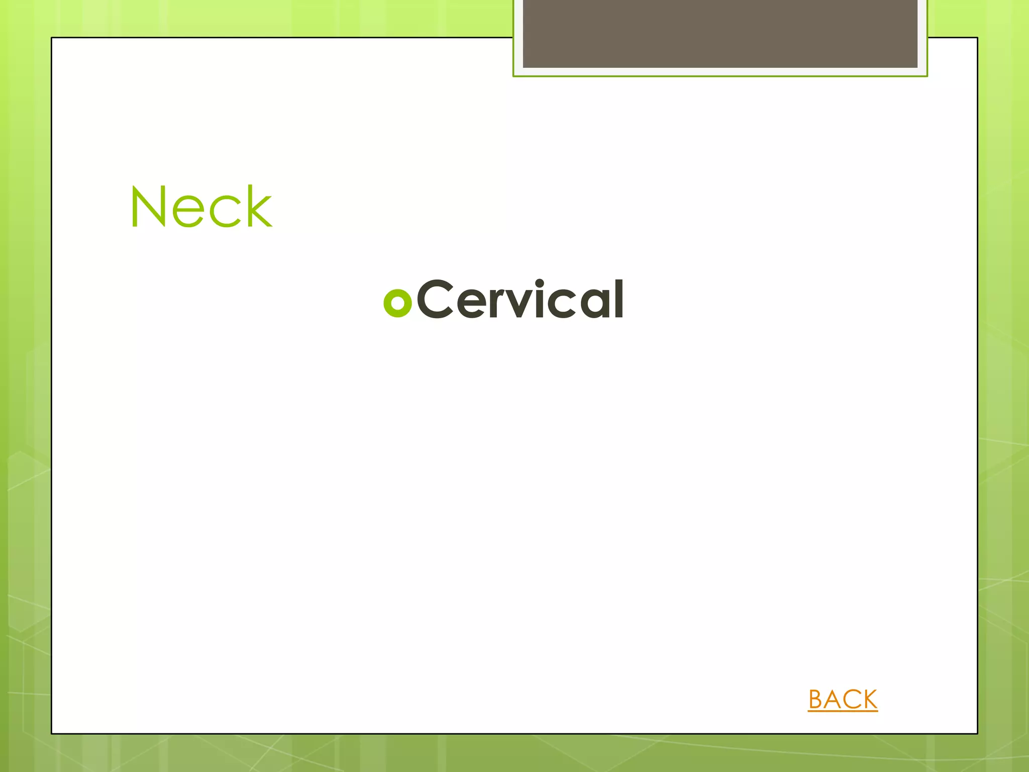 Neck
       Cervical




                   BACK
 