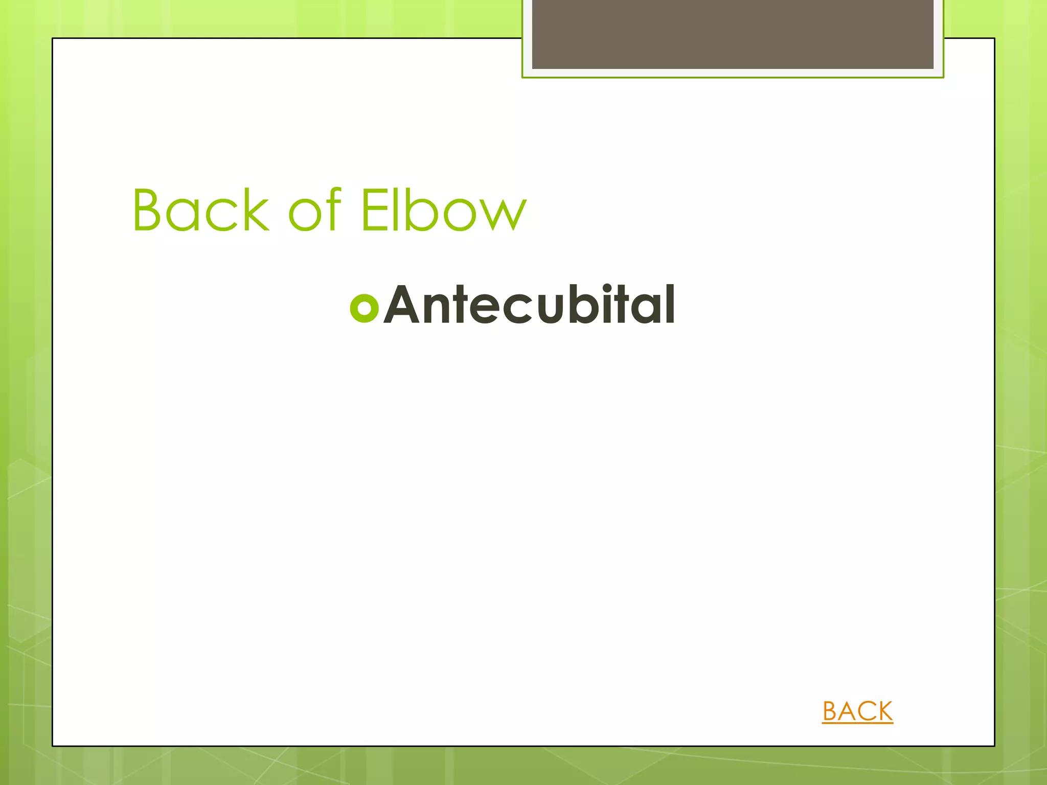 Back of Elbow
       Antecubital




                      BACK
 