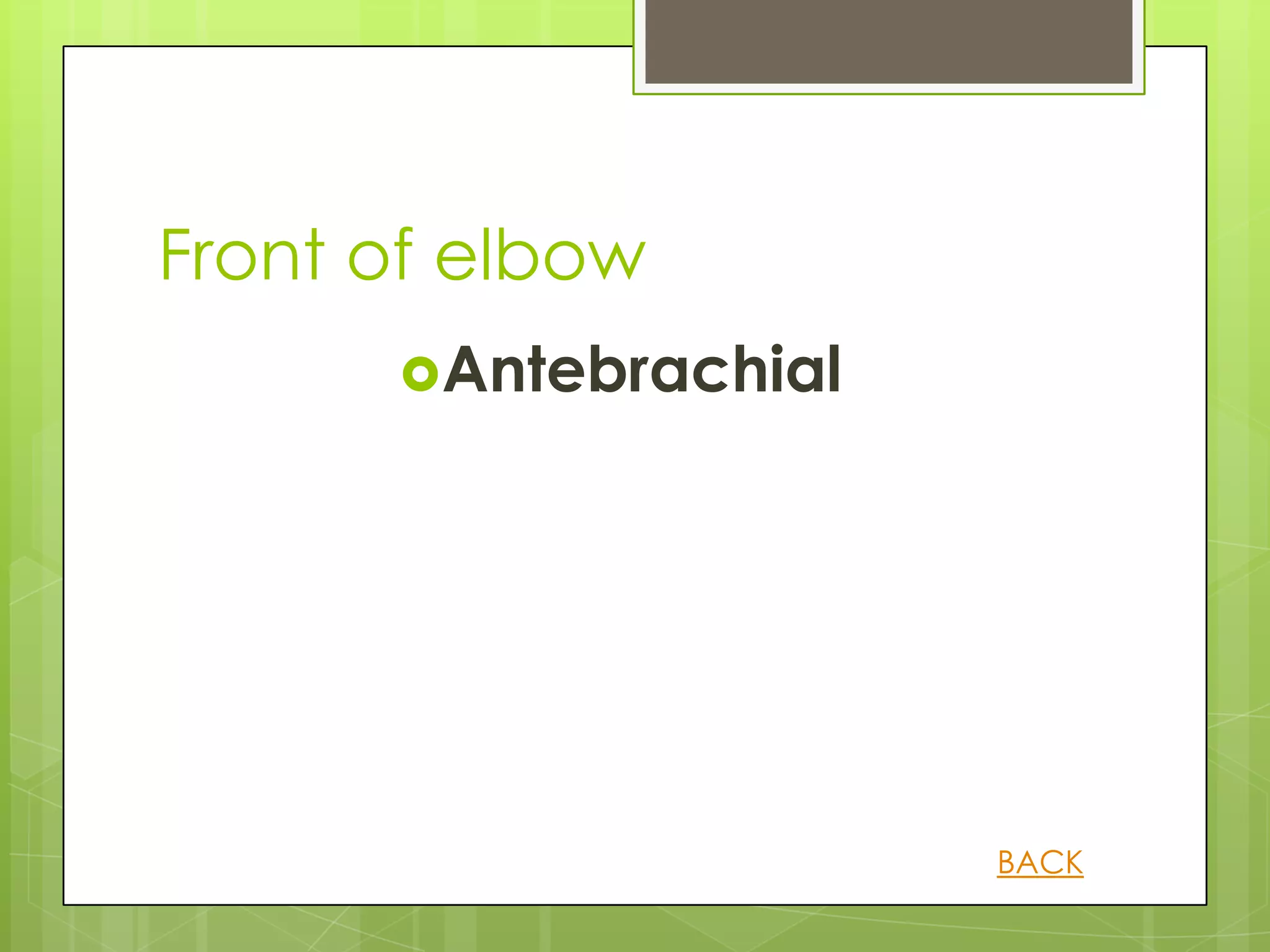 Front of elbow
      Antebrachial




                      BACK
 