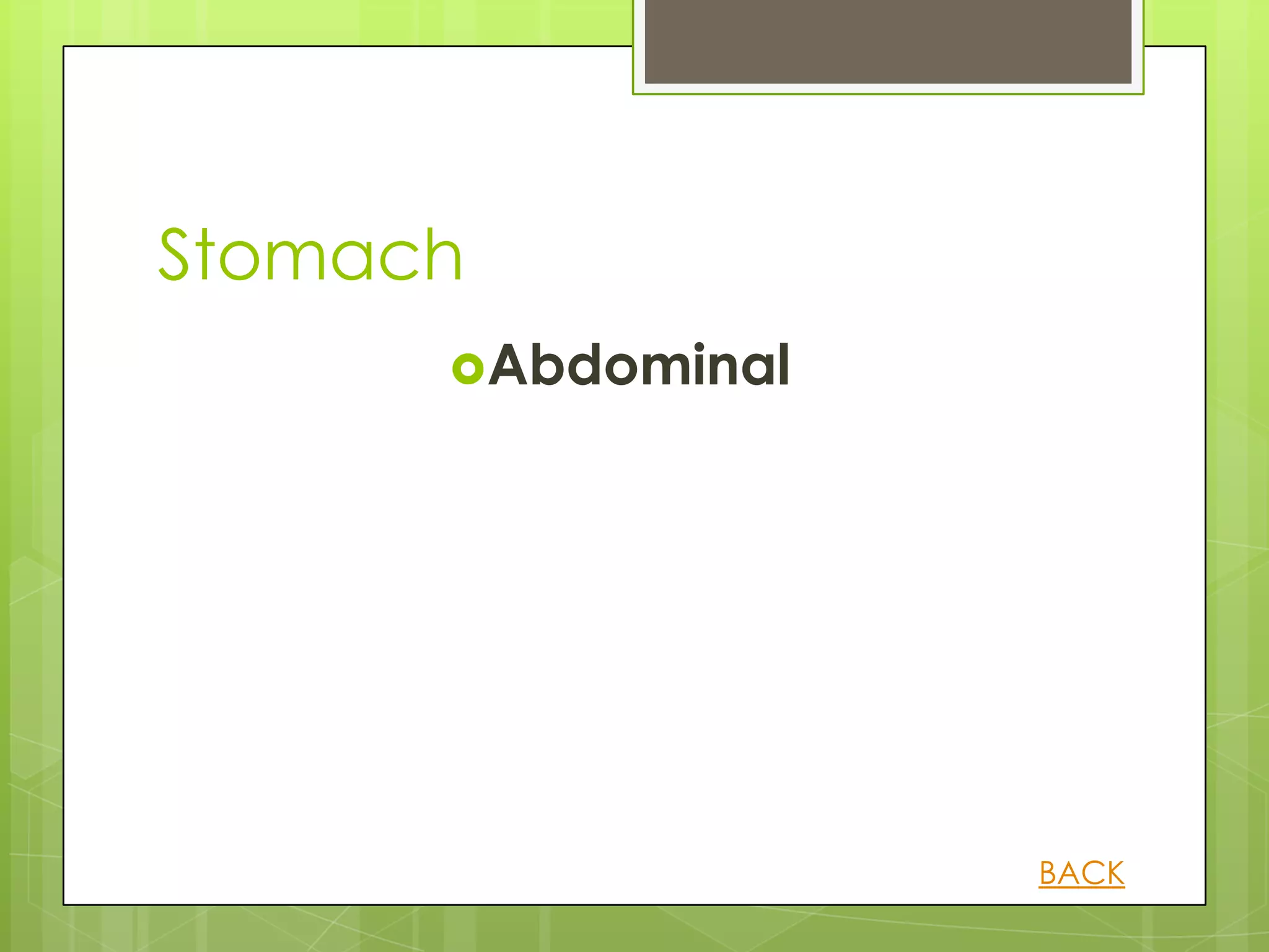 Stomach
      Abdominal




                   BACK
 