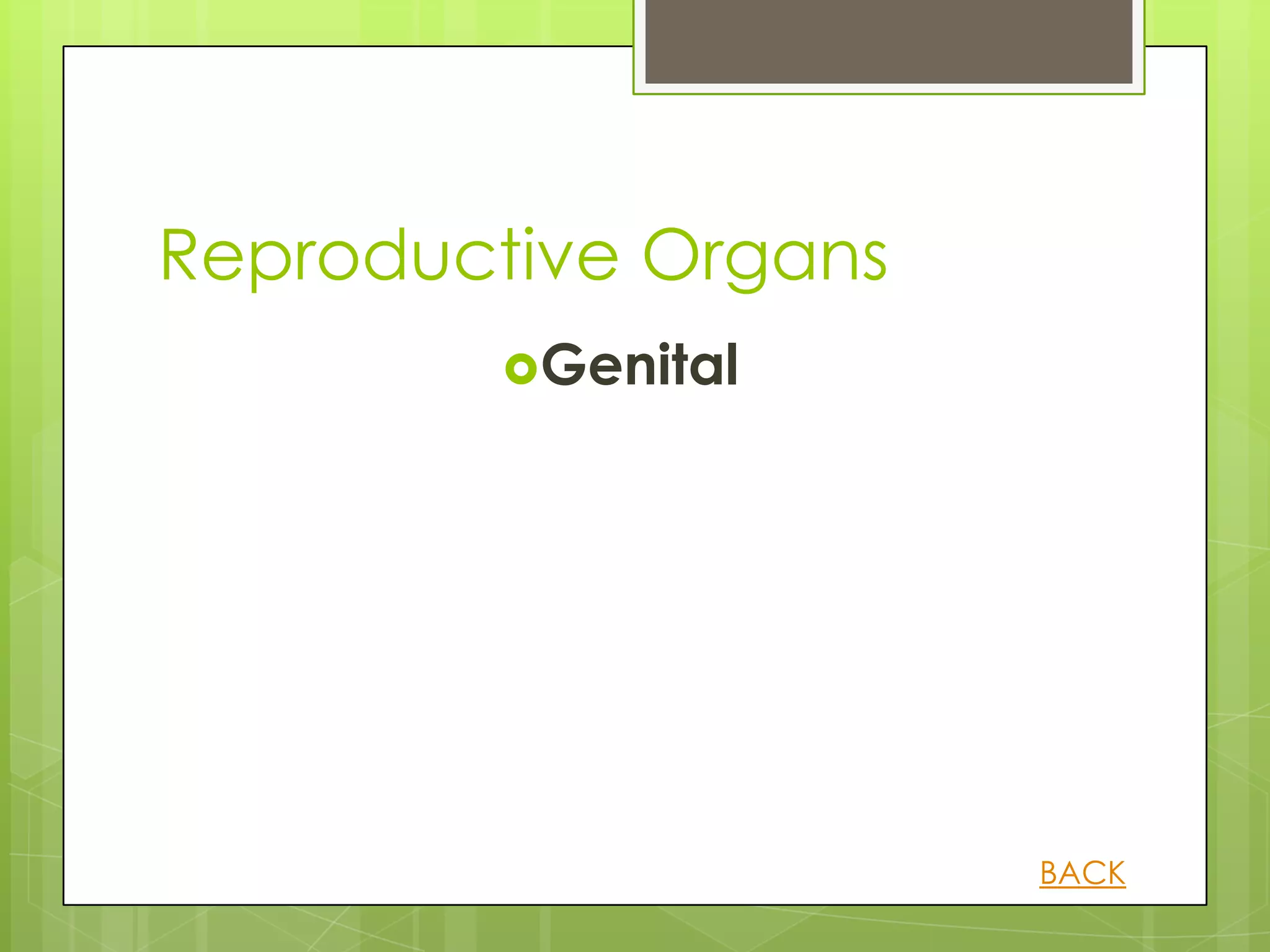 Reproductive Organs
        Genital




                      BACK
 