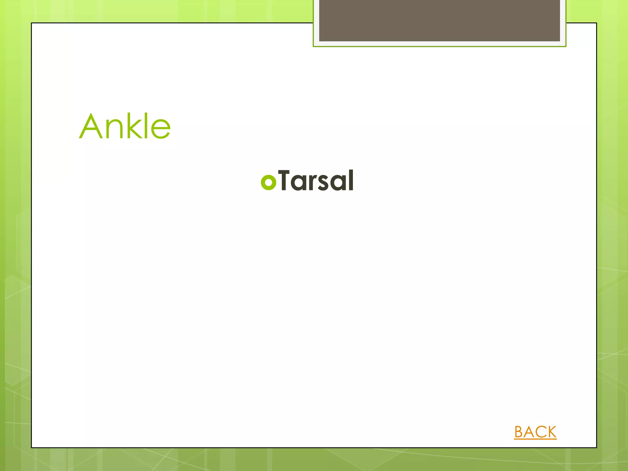 Ankle
        Tarsal




                  BACK
 
