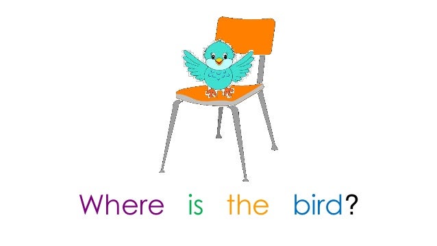 where is the bird