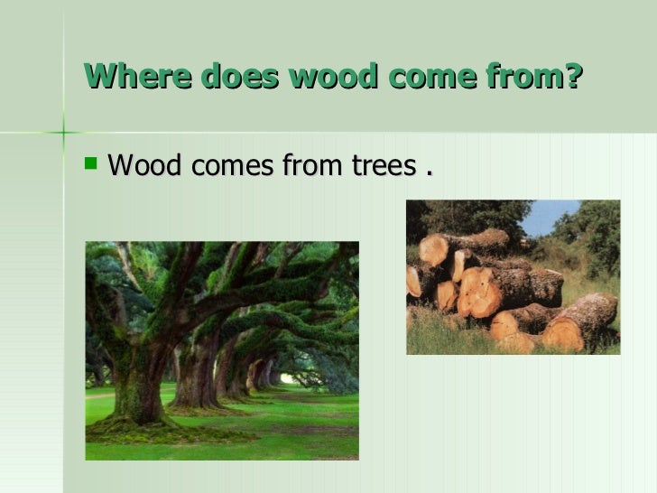Where does wood come from?