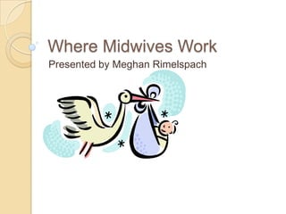 Where Midwives Work Presented by Meghan Rimelspach 