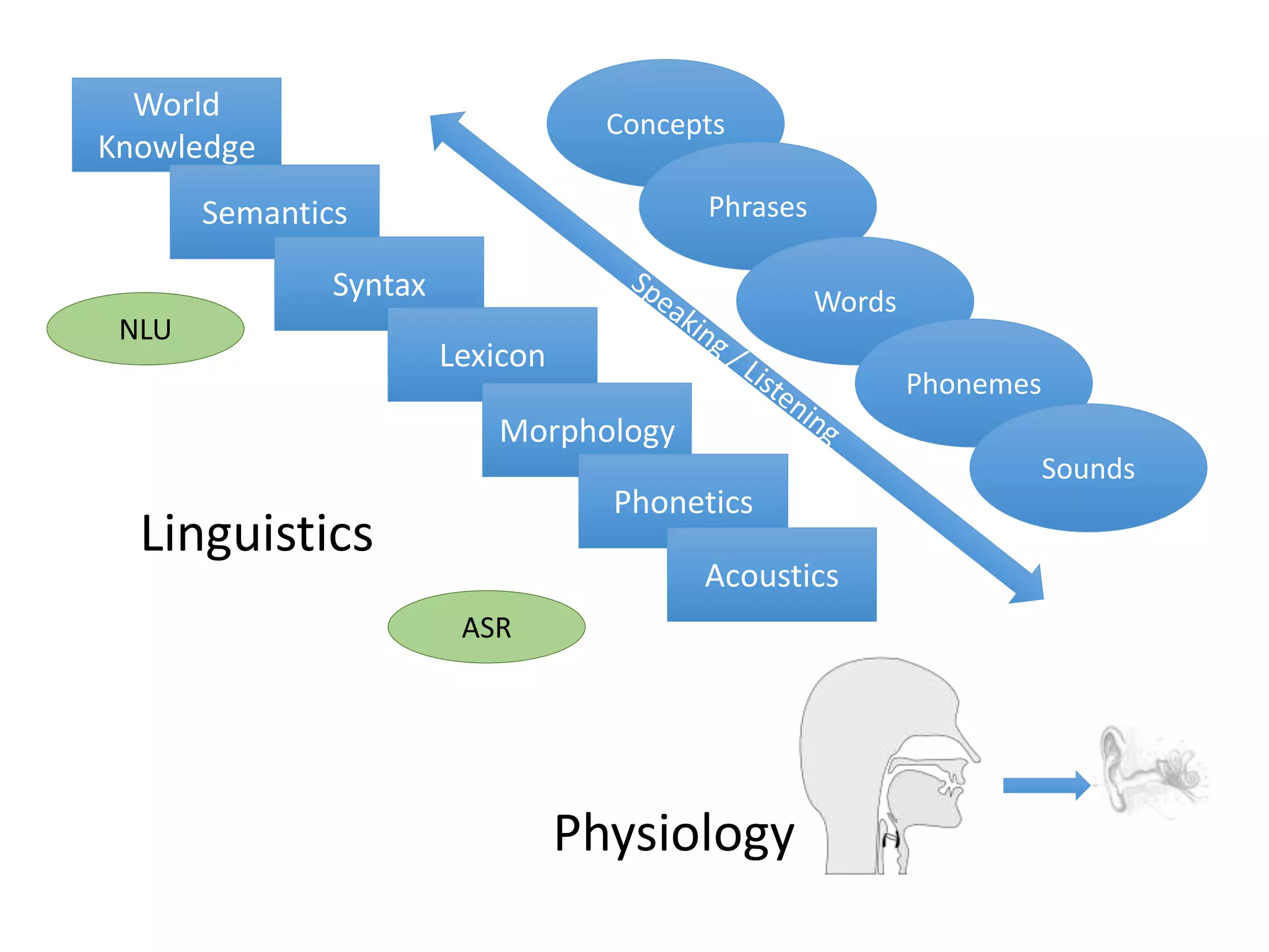 World
Knowledge
Semantics
Syntax
Lexicon
Morphology
Phonetics
Acoustics
Linguistics
Physiology
Concepts
Phrases
Words
Phonemes
Sounds
ASR
NLU
 