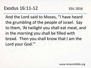 Exodus 16:11-12
And the Lord said to Moses, “I have heard
the grumbling of the people of Israel. Say
to them, ‘At twilight you shall eat meat, and
in the morning you shall be filled with
bread. Then you shall know that I am the
Lord your God.’”
www.networkbible.org
ESV, 2016
 