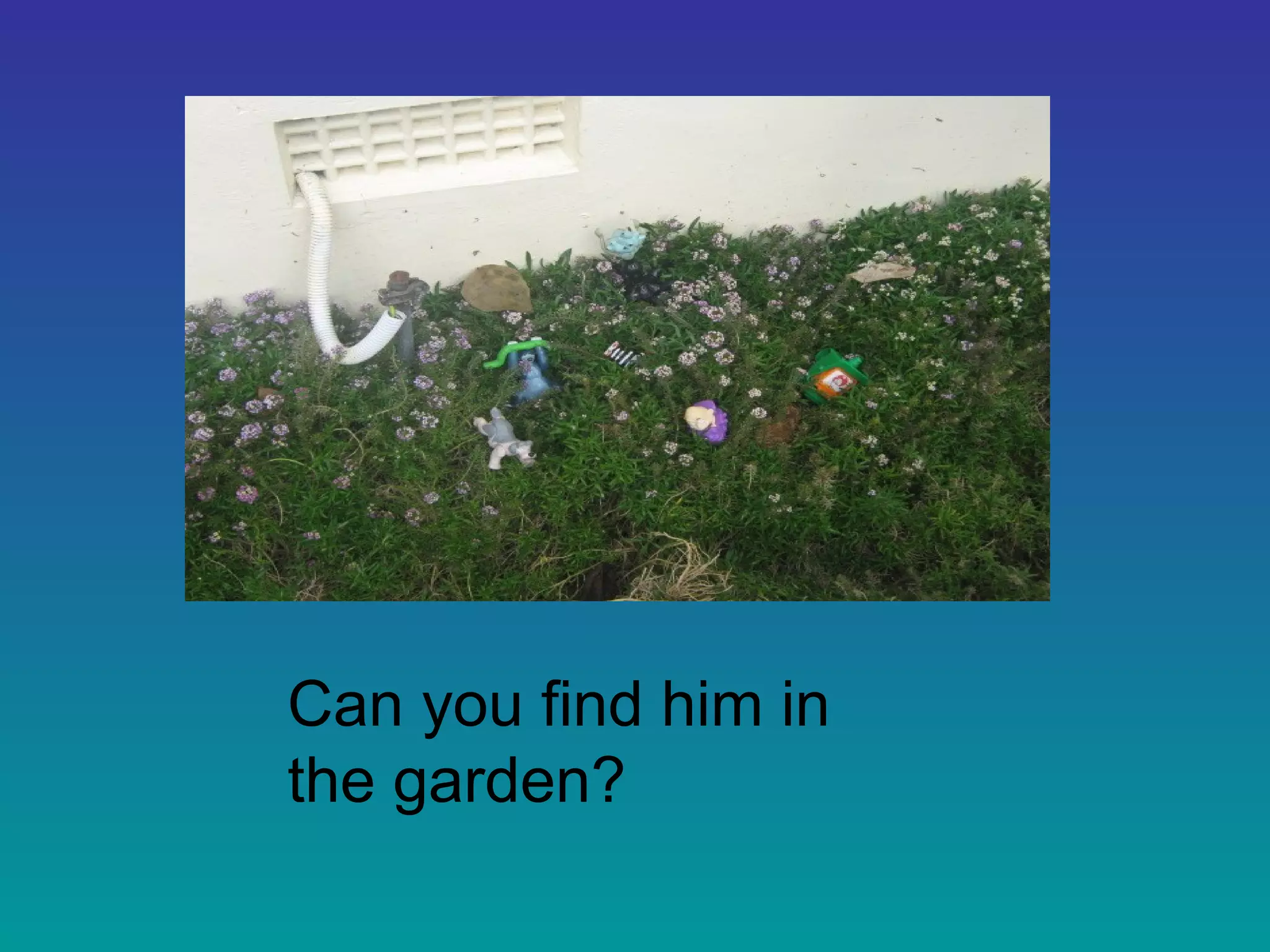Can you find him in
the garden?
 