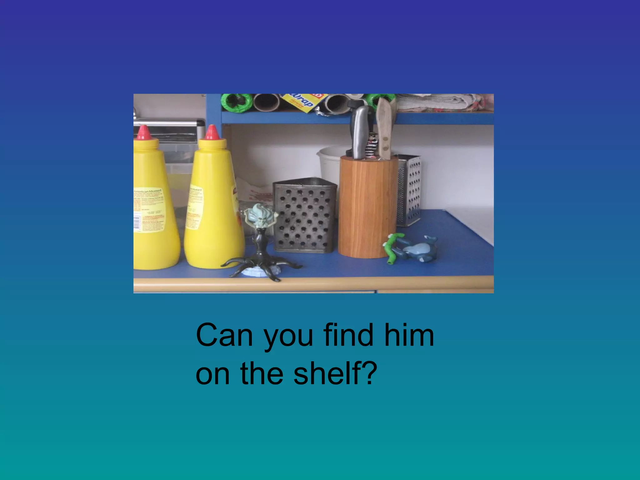Can you find him
on the shelf?
 