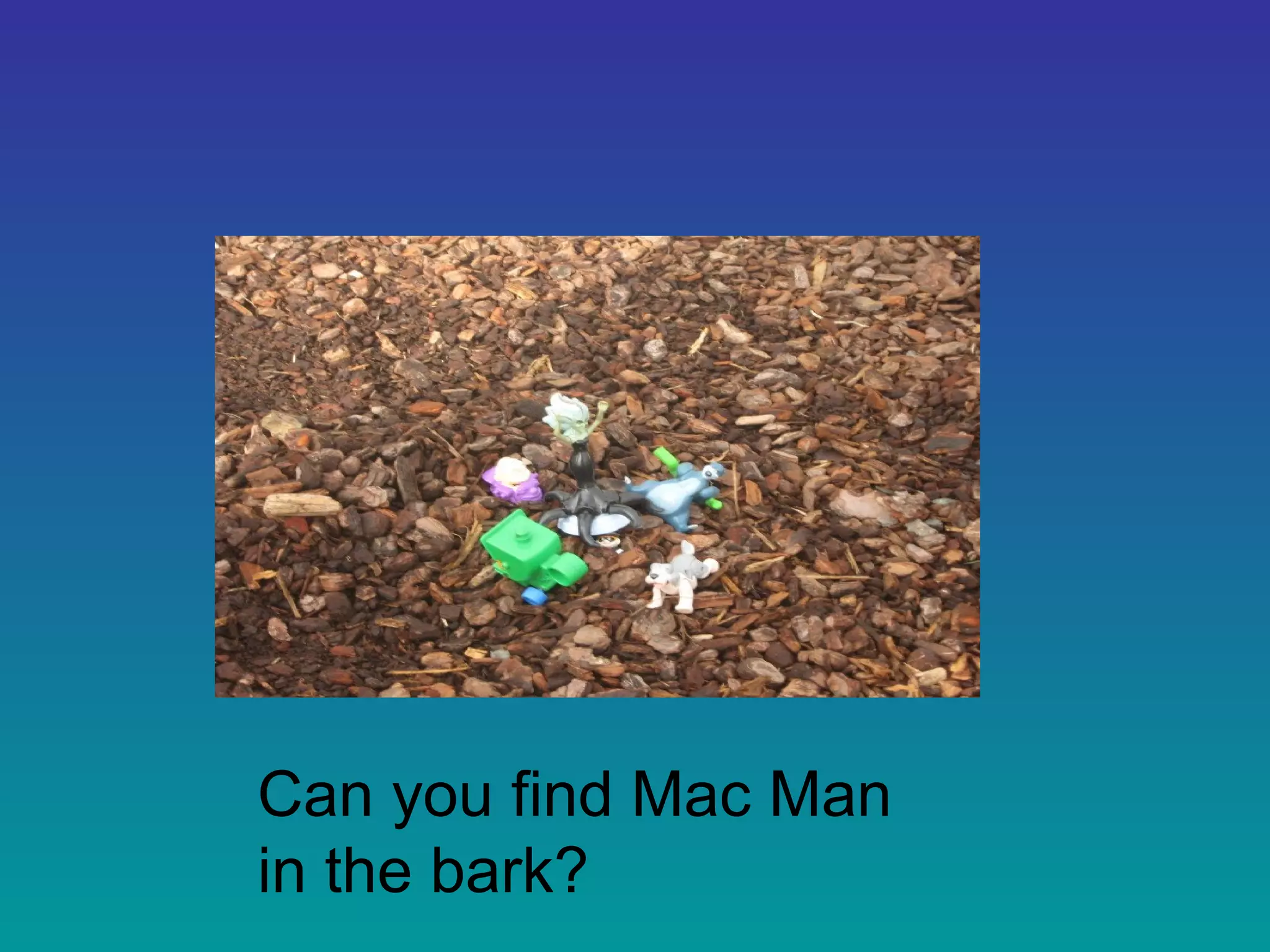 Can you find Mac Man
in the bark?
 