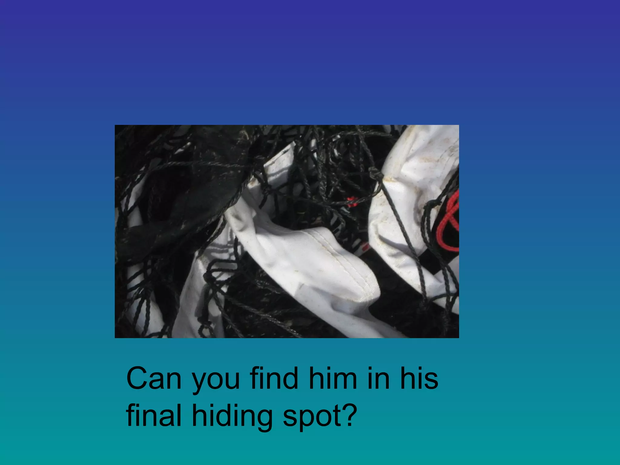 Can you find him in his
final hiding spot?
 