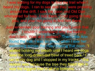 I was waiting for my dogs to find the trail when I heard my dogs.  I ran to see and they were prowling around the drift. I saw the coon and Old Dan whimpered for help. I told them," I not going to help you, and your not going to find him there.  Just remember your training and you’ll catch that coon.”  I couldn’t understand why the training didn’t help. Was all it useless?   Then Little Ann found the trail. I was so proud when I saw her swimming across the river chasing that coon.   “I waited holding my breath until I heard my dogs bawl the long-drawn-out bawl of treed bark.” I ran to my dog and I stopped in my tracks. “The reason was because the tree they treed him in was the biggest tree in all the bottoms.  