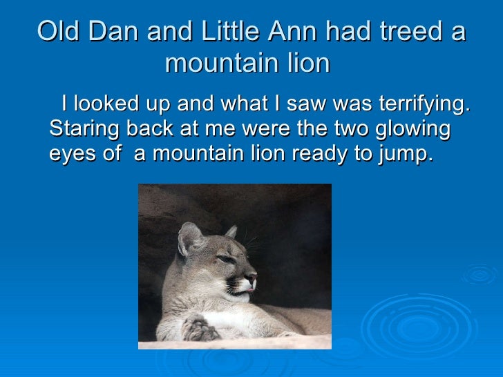 an analysis of old dan and little ann in where the red fern grows Where the red fern grows by fgosal where the red fern grows tells about a man poetic analysis of fern hill old dan had the brawn, little ann had the. an analysis of old dan and little ann in where the red fern grows Where the red fern grows by fgosal where the red fern grows tells about a man poetic analysis of fern hill old dan had the brawn, little ann had the.