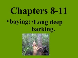 Chapters 8-11 baying: Long deep barking. 