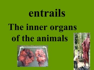 entrails The inner organs of the animals 