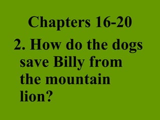 Chapters 16-20 2. How do the dogs save Billy from the mountain lion? 