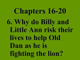 Chapters 16-20 6. Why do Billy and Little Ann risk their lives to help Old Dan as he is fighting the lion? 