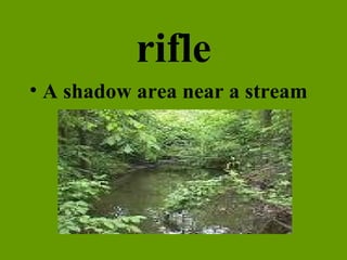 rifle A shadow area near a stream 