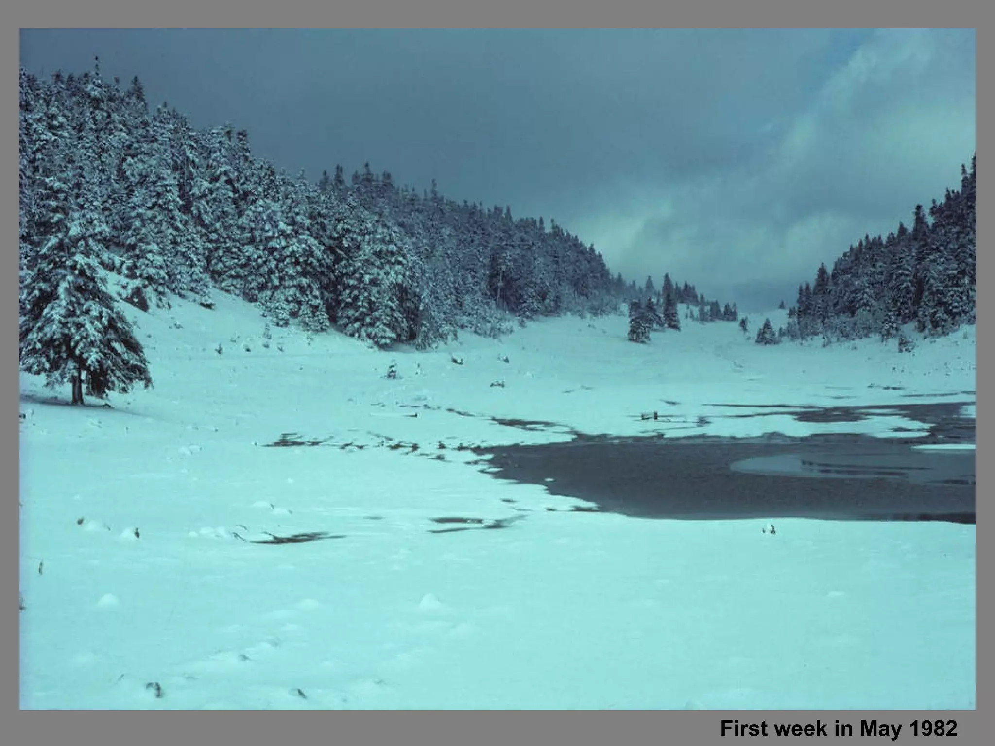 First week in May 1982 