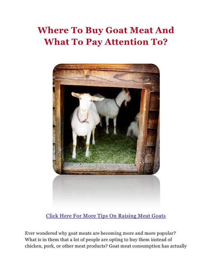 Where To Buy Goat Meat And What To Pay Attention To