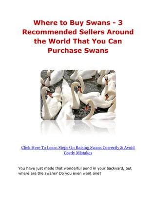 Where to Buy Swans - 3
 Recommended Sellers Around
    the World That You Can
        Purchase Swans




 Click Here To Learn Steps On Raising Swans Correctly & Avoid
                        Costly Mistakes


You have just made that wonderful pond in your backyard, but
where are the swans? Do you even want one?
 