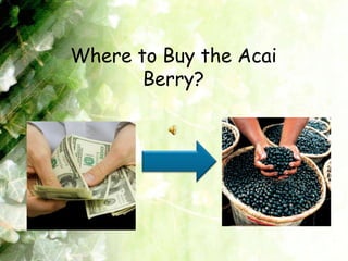Where to Buy the Acai Berry? 
