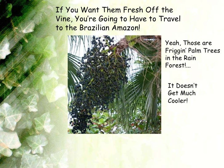 Where To Buy Acai Berries In Stores