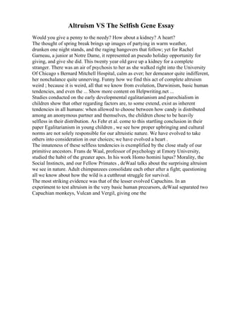 Altruism VS The Selfish Gene Essay
Would you give a penny to the needy? How about a kidney? A heart?
The thought of spring break brings up images of partying in warm weather,
drunken one night stands, and the raging hangovers that follow; yet for Rachel
Garneau, a junior at Notre Dame, it represented an pseudo holiday opportunity for
giving, and give she did. This twenty year old gave up a kidney for a complete
stranger. There was an air of psychosis to her as she walked right into the University
Of Chicago s Bernard Mitchell Hospital, calm as ever; her demeanor quite indifferent,
her nonchalance quite unnerving. Funny how we find this act of complete altruism
weird ; because it is weird, all that we know from evolution, Darwinism, basic human
tendencies, and even the ... Show more content on Helpwriting.net ...
Studies conducted on the early developmental egalitarianism and parochialism in
children show that other regarding factors are, to some extend, exist as inherent
tendencies in all humans: when allowed to choose between how candy is distributed
among an anonymous partner and themselves, the children chose to be heavily
selfless in their distribution. As Fehr et al. come to this startling conclusion in their
paper Egalitarianism in young children , we see how proper upbringing and cultural
norms are not solely responsible for our altruistic nature. We have evolved to take
others into consideration in our choices; we have evolved a heart .
The innateness of these selfless tendencies is exemplified by the close study of our
primitive ancestors. Frans de Waal, professor of psychology at Emory University,
studied the habit of the greater apes. In his work Homo homini lupus? Morality, the
Social Instincts, and our Fellow Primates , deWaal talks about the surprising altruism
we see in nature. Adult chimpanzees consolidate each other after a fight; questioning
all we know about how the wild is a cutthroat struggle for survival.
The most striking evidence was that of the lesser evolved Capuchins. In an
experiment to test altruism in the very basic human precursors, deWaal separated two
Capuchian monkeys, Vulcan and Vergil, giving one the
 