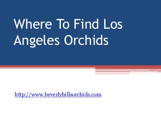 Where To Find Los
Angeles Orchids


http://www.beverlyhillsorchids.com
 