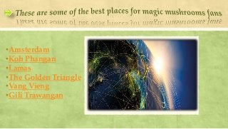 •Amsterdam
•Koh Phangan
•Lamas
•The Golden Triangle
•Vang Vieng
•Gili Trawangan
 