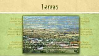 Lamas
The town of Lamas is seated on a ridge overlooking a fertile valley in Peru. The farms
produce tropical plants including coffee, cacao, coconut, sugarcane, and other fruits and
spices. But there’s another special crop that grows here… magic mushrooms.
This town is located in the forest above Tarapoto where the land is covered in clouds and is
showered by rain and mist for most of the year. The valleys and mountains make a beautiful
postcard view and a fertile land for growing and grazing cattle whose dung create the perfect
environment for growing psilocybin mushrooms.
People come to this area for the past twenty-five years to collect mushrooms. Young
Peruvians know how to identify and where to pick these magic mushrooms. There are no
laws surrounding the use of psilocybin mushrooms in Peru but its best to try small doses to
avoid drawing unwanted attention.
 