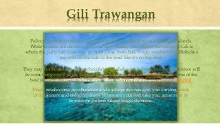 Gili Trawangan
Psilocybin mushrooms are popular a popular commodity in Indonesia’s islands.
While tourists are drawn to Bali and their mushroom shakes, the island of Gili is
where the party’s at! Less than an hour away from Bali, magic mushroom milkshakes
are sold on the side of the road like it’s no big deal.
They may not be as tasty as the chocolate milkshakes back home but the experience will
be something you’ll never forget. Plus, the sunsets on Gili Trawangan are some of the
best you will ever see. Add the magic mushrooms and you’ll be feeling magical.
Magic mushrooms are abundant and each species can give you varying levels
of enjoyment and enlightenment. Wherever your feet take you, remember to
be informed when taking magic shrooms.
 