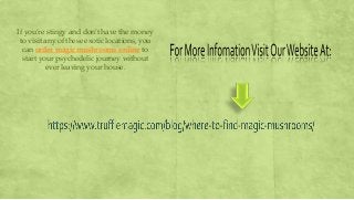 If you’re stingy and don’t have the money
to visit any of these exotic locations, you
can order magic mushrooms online to
start your psychedelic journey without
ever leaving your house.
 