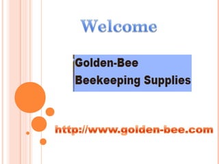 Where to get bees