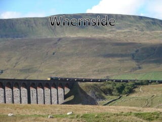 Whernside