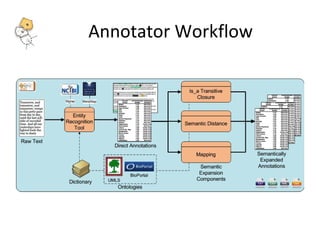 Annotator Workflow 
 