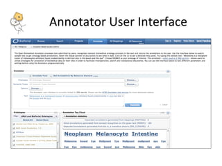 Annotator User Interface 
 