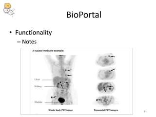 BioPortal 
• Functionality 
– Notes 
11 
 