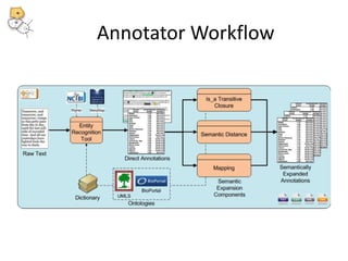 Annotator Workflow 
 