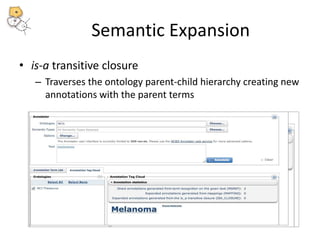 Semantic Expansion 
• is-a transitive closure 
– Traverses the ontology parent-child hierarchy creating new 
annotations with the parent terms 
 