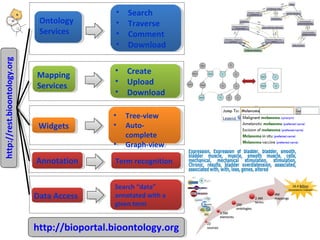 http://http://rreesstt..bbiioooonnttoollooggyy..oorrgg 
Ontology 
Services 
Ontology 
Services 
• Search 
• Traverse 
• Comment 
• Download 
• Search 
• Traverse 
• Comment 
• Download 
Mapping 
Services 
Mapping 
Services 
WWididggeettss 
• Create 
• Upload 
• Download 
• Tree-view 
• Auto-complete 
• Graph-view 
• Tree-view 
• Auto-complete 
• Graph-view 
AAnnnnoottaattioionn 
DDaattaa A Acccceessss 
• Create 
• Upload 
• Download 
TTeerrmm r reeccooggnnititioionn 
Search “data” 
annotated with a 
given term 
Search “data” 
annotated with a 
given term 
hhttttpp::////bbiiooppoorrttaall..bbiioooonnttoollooggyy..oorrgg 
 