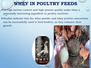 WHEY IN POULTRY FEEDS
Its high lactose content and high-protein quality make whey a
potentially interesting ingredient in poultry nutrition.
Studies indicate that dry whey powder and whey protein concentrate
can be successfully used to feed broilers, as they enhance their
growth.
 