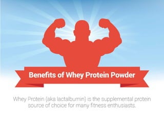 Which is Better: Whey Protein Vs Casein Protein? Benefits of Whey Protein Powder